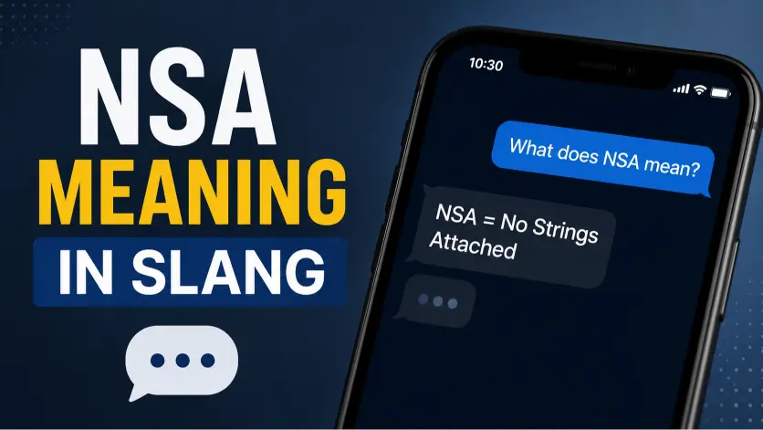 nsa meaning slang