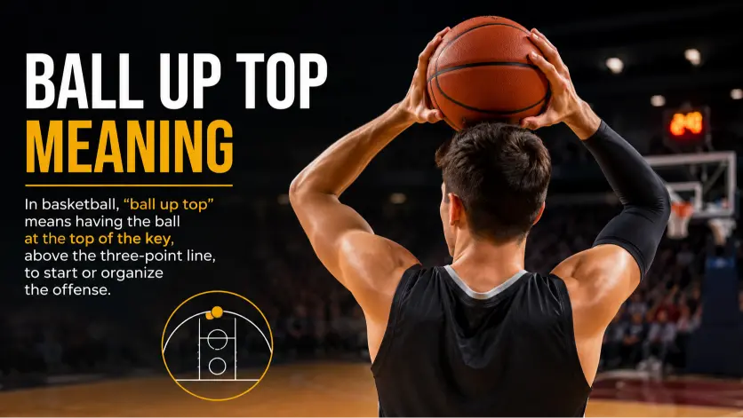 Ball Up Top Meaning