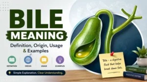 bile meaning