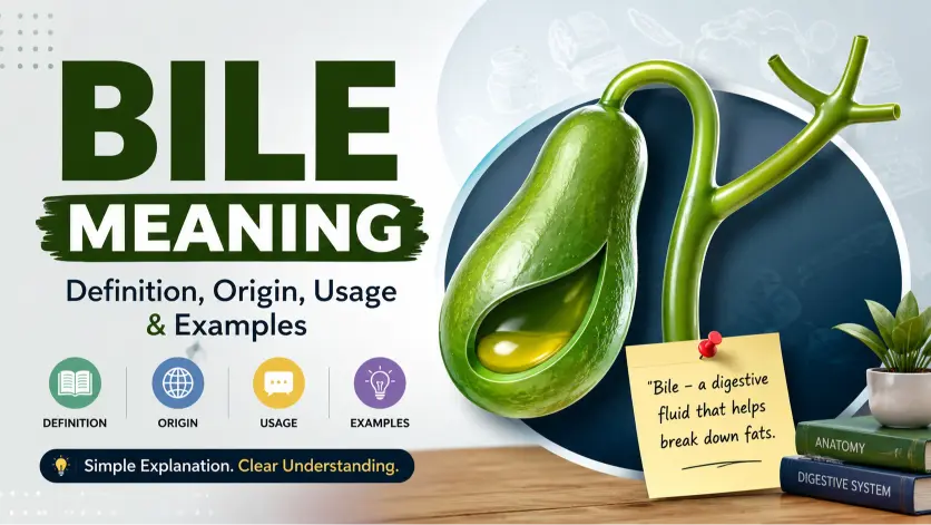 bile meaning