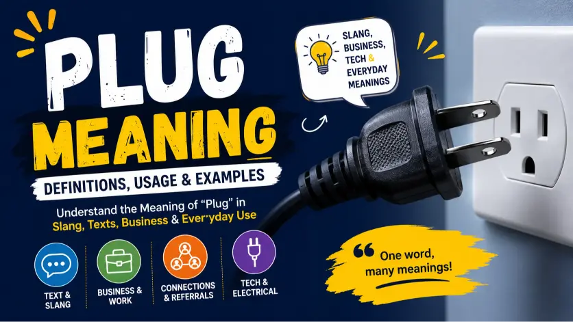 plug meaning