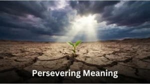 persevering meaning